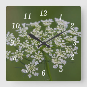 Queen Anne's Lace Wall Clock