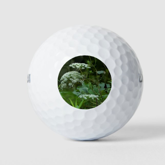 Queen Anne's Lace Wildflower Golf Balls (Front)