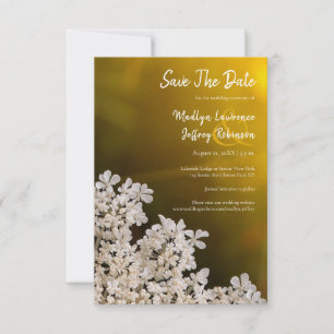 Queen Anne's Lace wildflower wedding details Save The Date