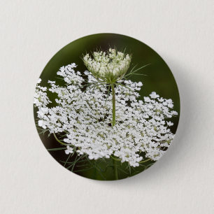 Queen Ann's Lace 2 Inch Round Button
