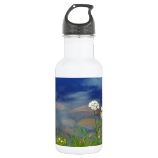 Queen Ann's lace flowers, blue mountain lake 532 Ml Water Bottle