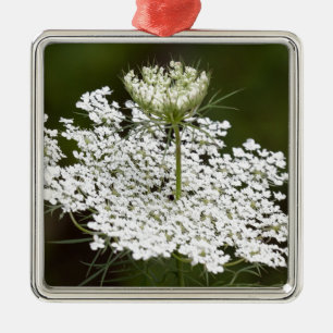 Queen Ann's Lace Metal Ornament