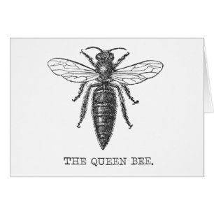 Queen Bee Bug Insect Antique Illustration