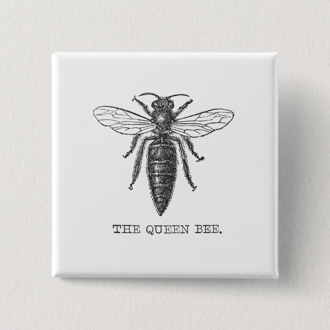 Queen Bee Bug Insect Antique Illustration 2 Inch Square Button (Front)