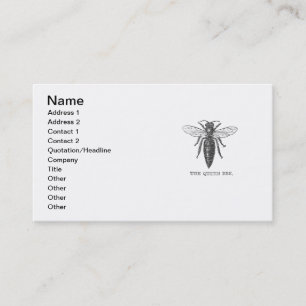 Queen Bee Bug Insect Antique Illustration Business Card