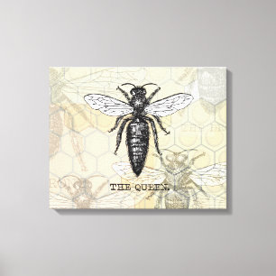 Queen Bee Bug Insect Antique Illustration Canvas Print