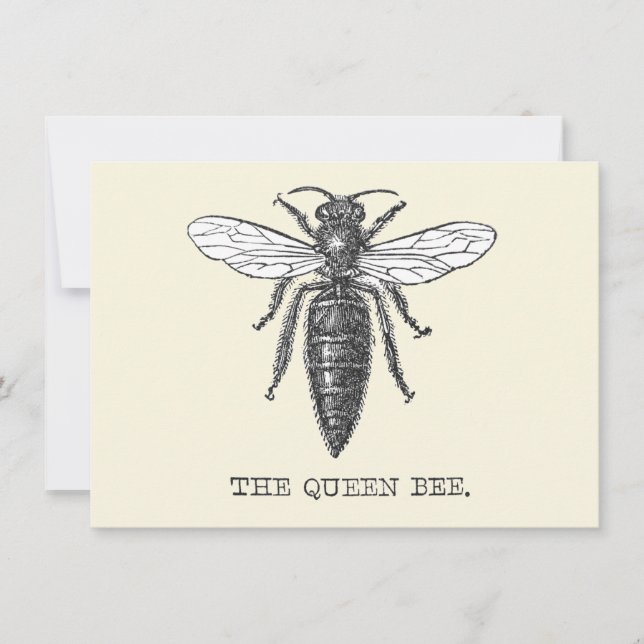 Queen Bee Bug Insect Antique Illustration Invitation (Front)
