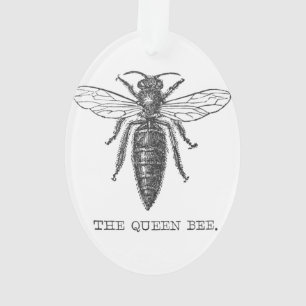 Queen Bee Bug Insect Antique Illustration Ornament