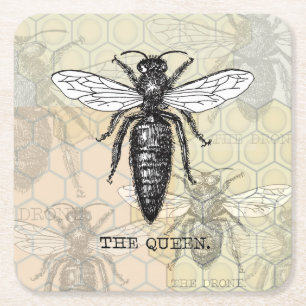 Queen Bee Bug Insect Antique Illustration Square Paper Coaster