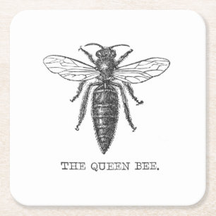Queen Bee Bug Insect Antique Illustration Square Paper Coaster