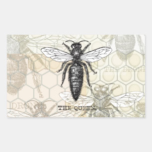 Queen Bee Bug Insect Antique Illustration Sticker