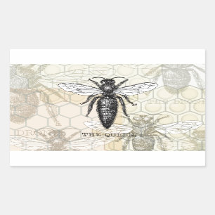 Queen Bee Bug Insect Antique Illustration Sticker