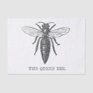 Queen Bee Bug Insect Antique Illustration Tissue Paper