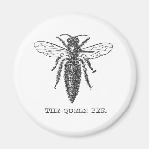 Queen Bee Bug Insect Bees Illustration Magnet