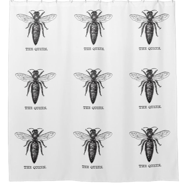 Queen Bee Illustration Classic Drawing (Front)