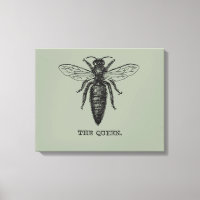 Queen Bee Illustration Classic Drawing