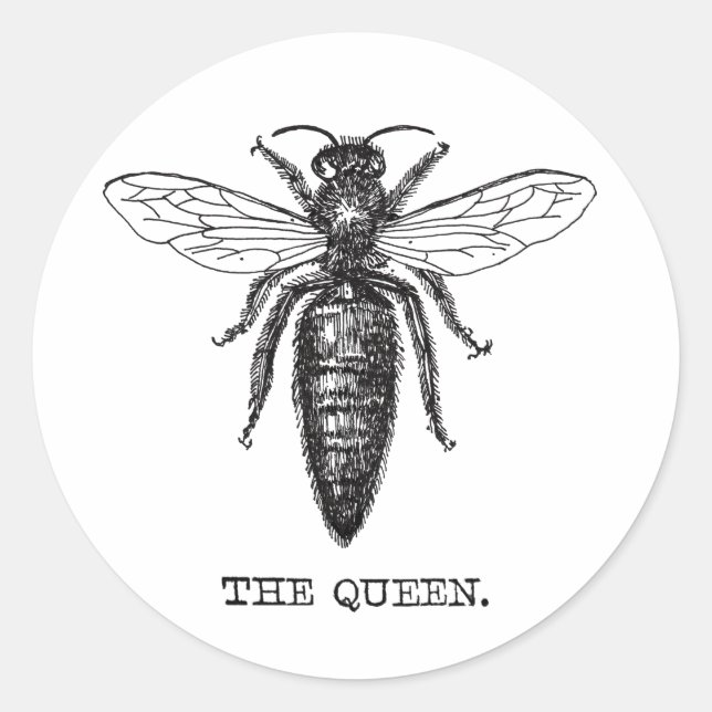 Queen Bee Illustration Classic Drawing Classic Round Sticker (Front)