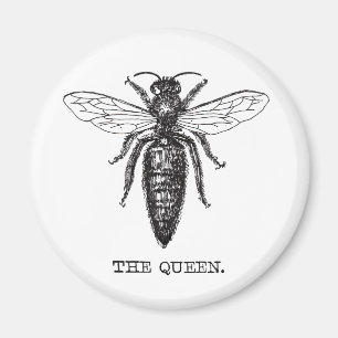 Queen Bee Illustration Classic Drawing Magnet