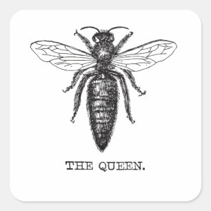Queen Bee Illustration Classic Drawing Square Sticker