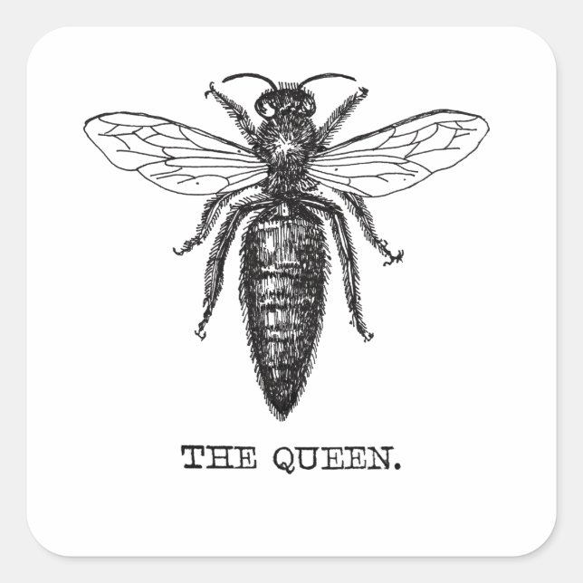 Queen Bee Illustration Classic Drawing Square Sticker (Front)