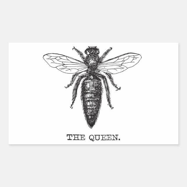 Queen Bee Illustration Classic Drawing Sticker (Front)