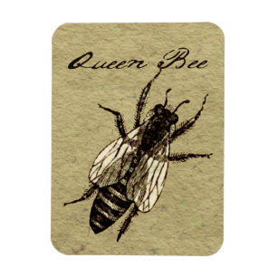 Queen Bee Magnet
