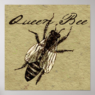 Queen Bee Poster