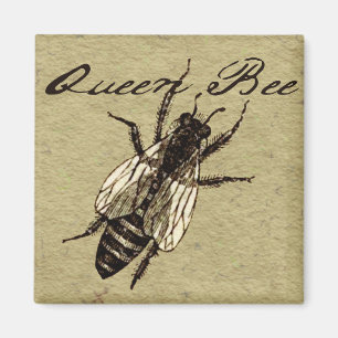 Queen Bee Vintage Black and White Art Print Magnet