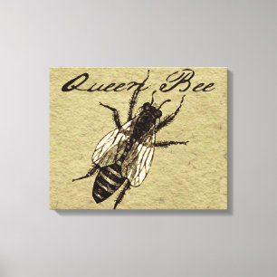 Queen Bee Wildlife Bug Insect Canvas Print