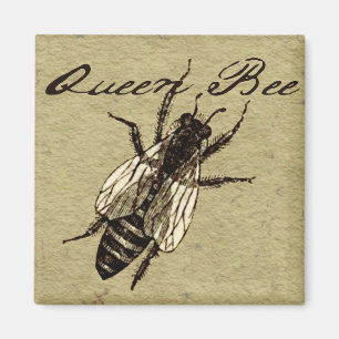 Queen Bee Wildlife Bug Insect Magnet