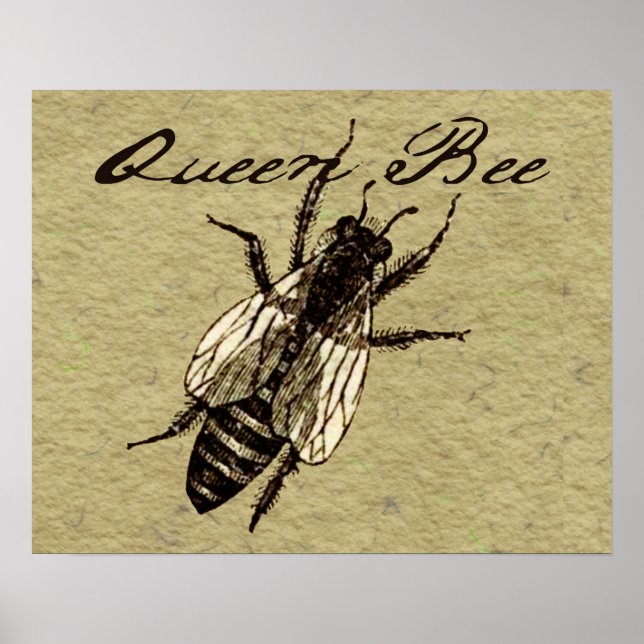 Queen Bee Wildlife Bug Insect Poster (Front)