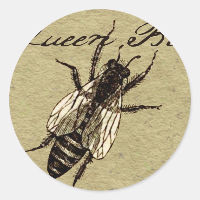 Queen Bee Wildlife Flying Bug Insect Classic Round Sticker (Front)