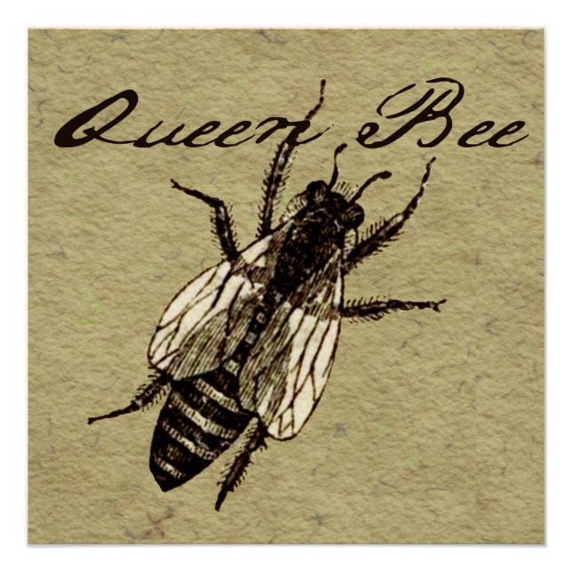 Queen Bee Wildlife Flying Bug Insect Poster (Front)