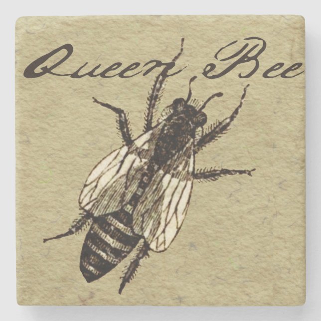 Queen Bee Wildlife Flying Bug Insect Stone Coaster (Front)