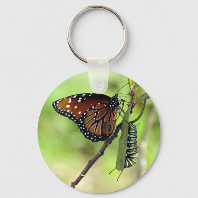 Queen Butterfly and Monarch Caterpillar - Keychain (Front)