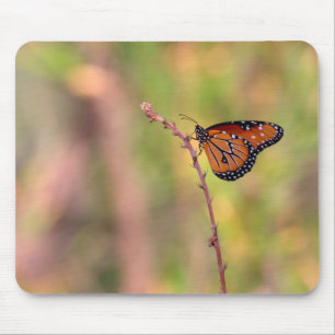 Queen Butterfly basking in the light Photo Print Mouse Pad