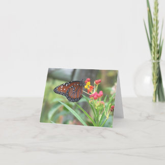 Queen Butterfly Notecard