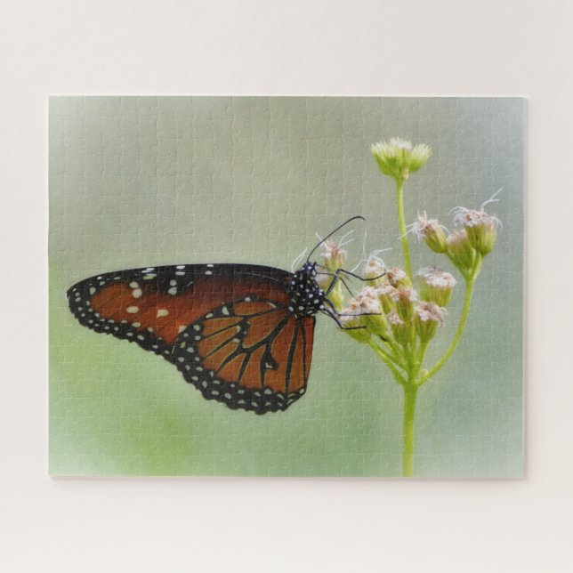 Queen Butterfly on Flowers Nature Big Puzzle (Horizontal)