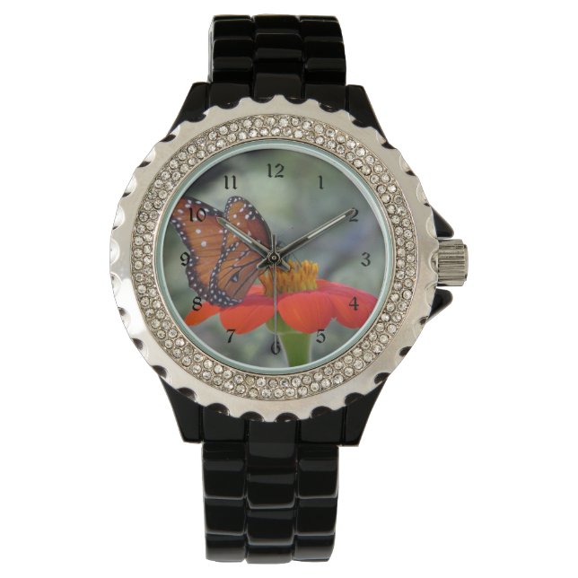 Queen Butterfly on Mexican Sunflower Watch (Front)