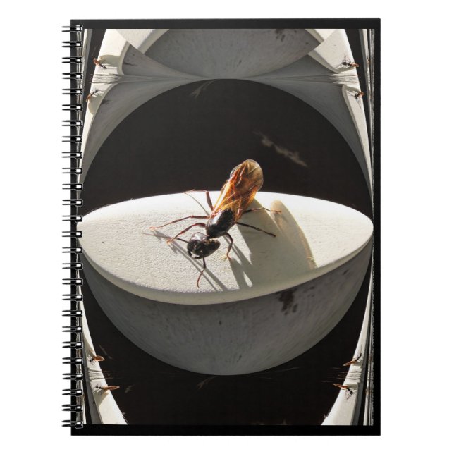 Queen Carpenter Ant ~ Notebook (Front)