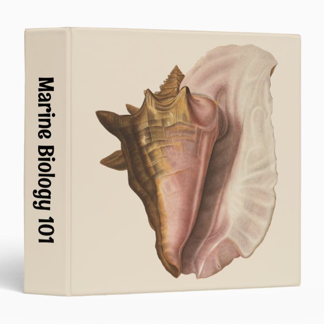 Queen Conch Seashell Shell, Vintage Marine Life Binder (Front/Spine)