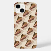 Queen Conch Seashell Shell, Vintage Marine Life