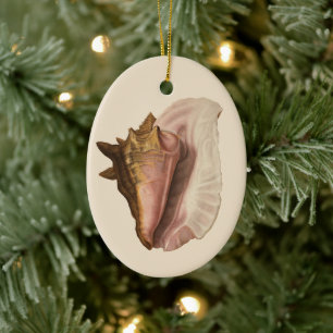 Queen Conch Seashell Shell, Vintage Marine Life Ceramic Ornament