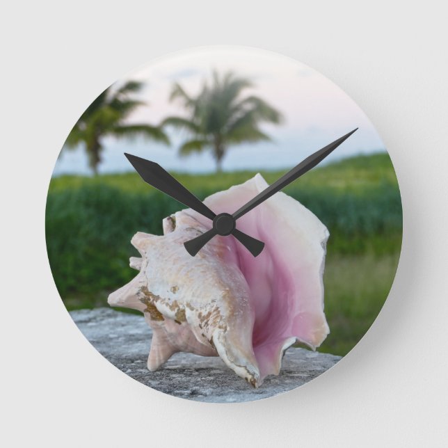 Queen Conch Shell on a Wall, The Bahamas Poster Round Clock (Front)
