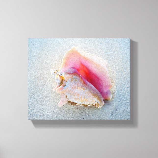 Queen Conch Shell on Bahamas Beach Canvas Print (Front)