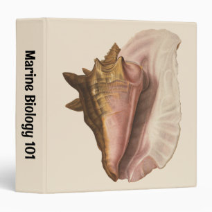 Queen Conch Shell Seashell, Vintage Marine Life Binder