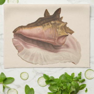 Queen Conch Shell Seashell, Vintage Marine Life Kitchen Towel