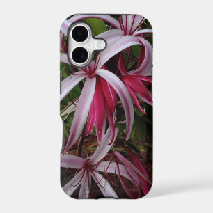 Queen Emma's Purple Crinum Lily