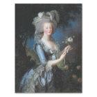Queen Marie Antoinette of France by Le Brun
