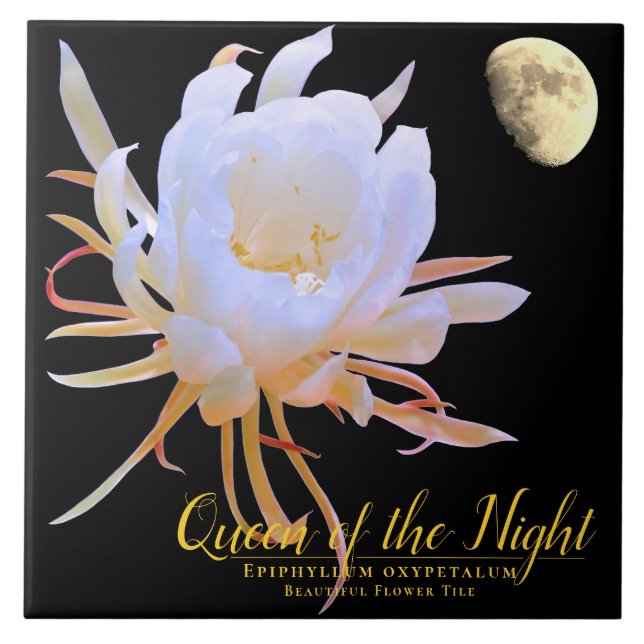 Queen of the Night タイル Tile (Front)